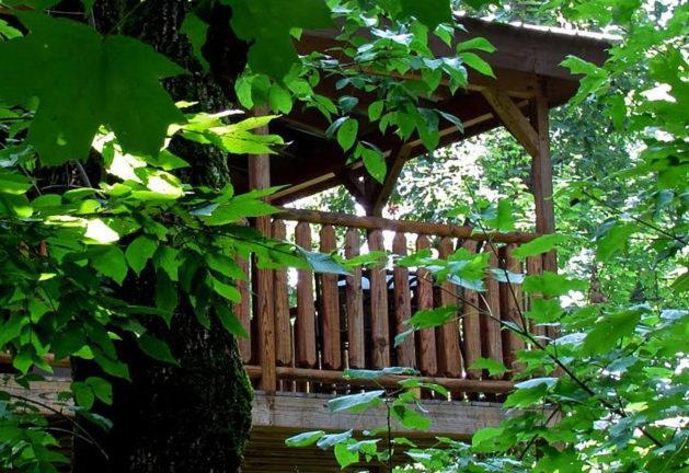 Villa #2903 Abundantly Blessed à Pigeon Forge Extérieur photo